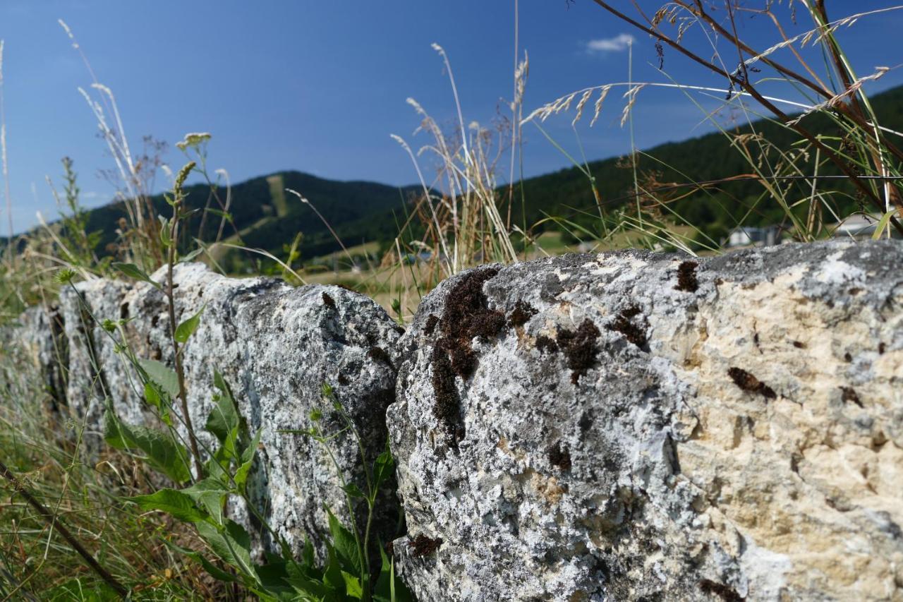 Auberge Le Sabot De Venus Méaudre Εξωτερικό φωτογραφία